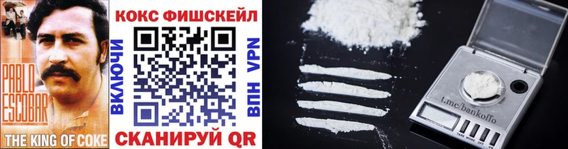 COCAIN Fish Scale  Купить закладки  Брянск 