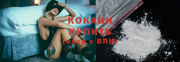 ПСИЛОЦИБИНОВЫЕ ГРИБЫ Пересвет