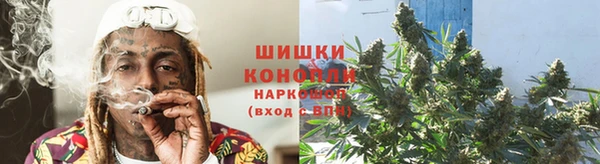 гидра Покровск