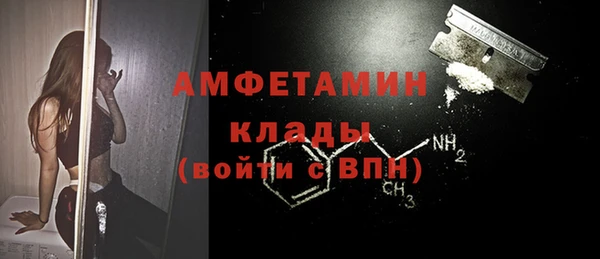 ПСИЛОЦИБИНОВЫЕ ГРИБЫ Пересвет
