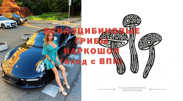 ПСИЛОЦИБИНОВЫЕ ГРИБЫ Пересвет