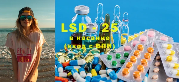 ПСИЛОЦИБИНОВЫЕ ГРИБЫ Пересвет