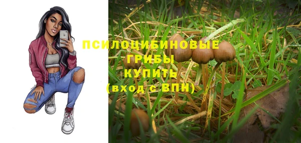 ПСИЛОЦИБИНОВЫЕ ГРИБЫ Пересвет
